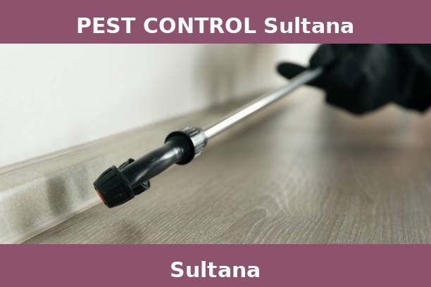 PEST CONTROL Sultana